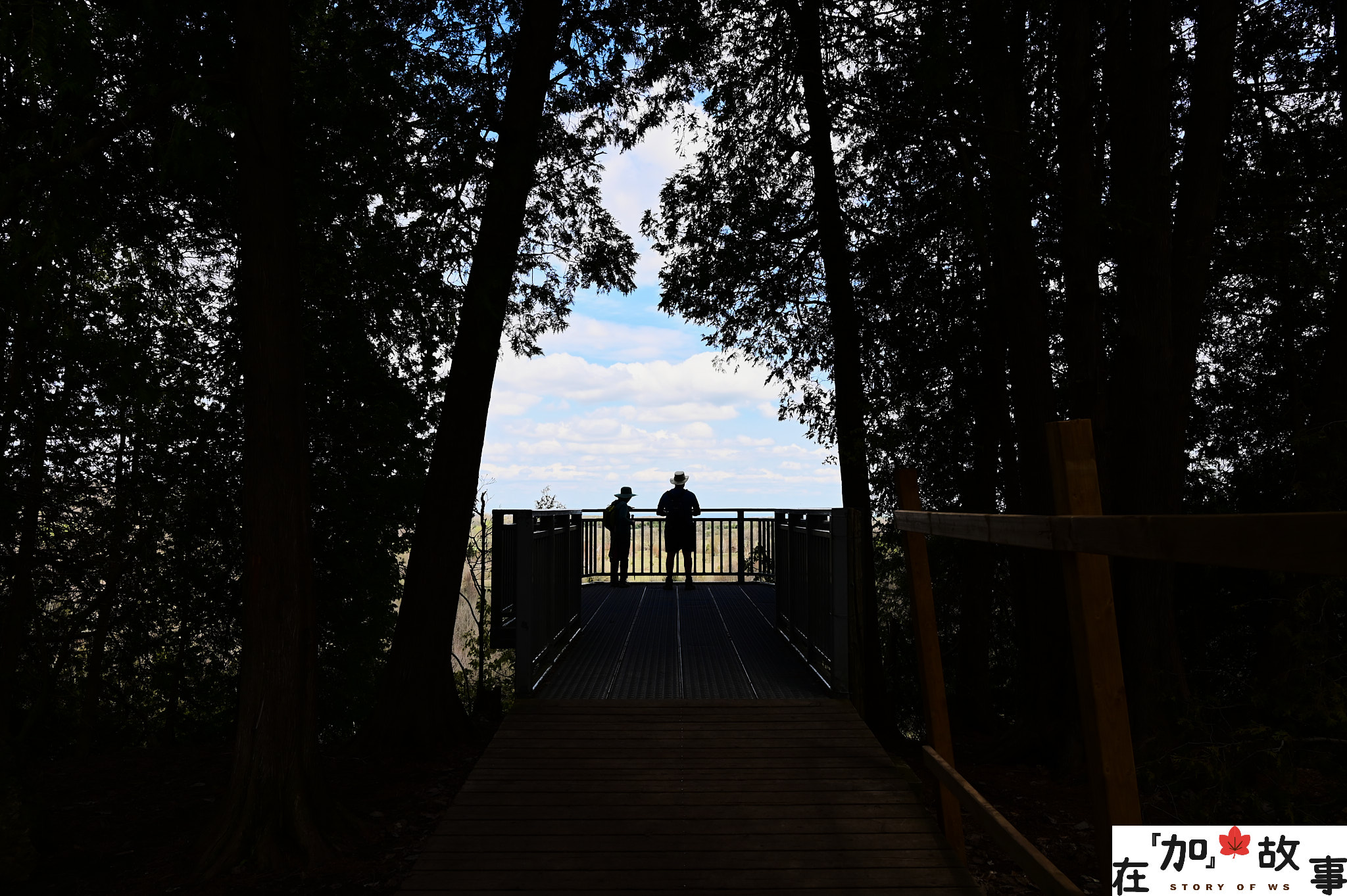 [多倫多周圍一日遊] 安大略省 省級公園| Mono Cliffs Provincial Park - 在